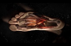 Nike_Biomorph_Featured