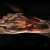 Nike_Biomorph_Featured