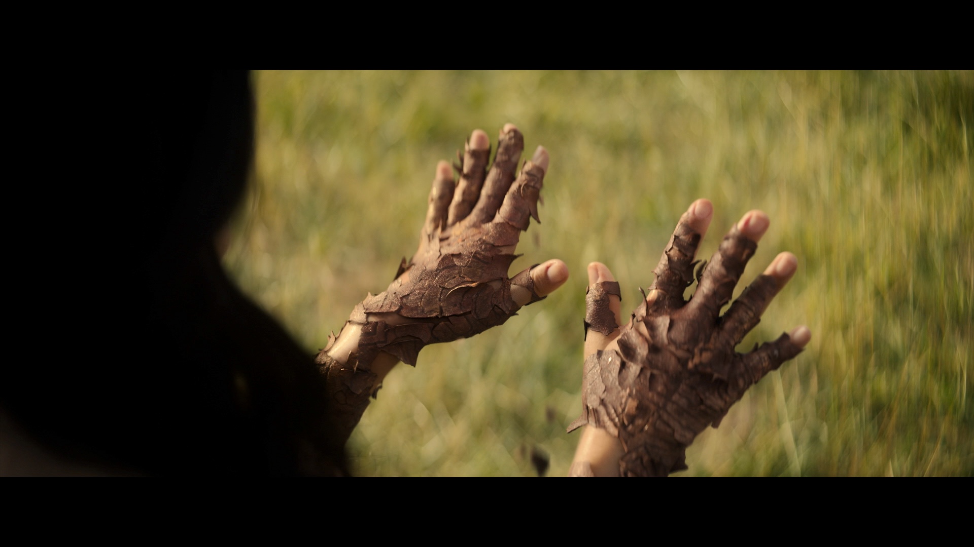 101_CCO_FCP_SHA_FINAL_EDIT_GHR_DIGITAL_DOMAIN.mxf.01_02_46_11.Still018